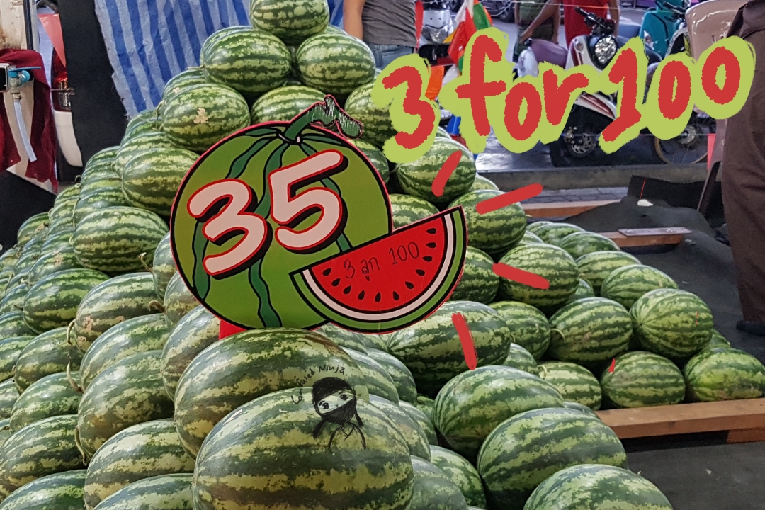 watermelon-3-for-100